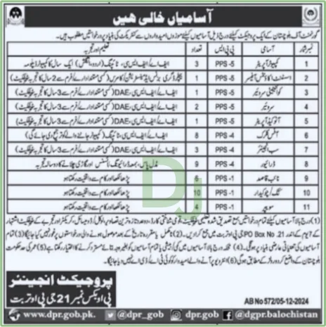 Public Sector Organization Job Advertisement: